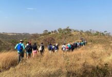 Vagas abertas para caminhadas em trilhas ecológicas do DF