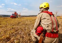 Governo de Goiás reforça prevenção e combate a incêndios em vegetação durante a estiagem