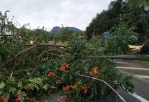 Alerta de tempestade: frente fria amplia instabilidade na Região Sul