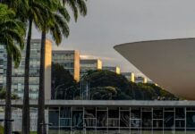 Nikolas Ferreira e Lucas Pavanato lideram votação para deputado federal no país